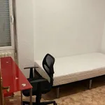 Rent a room in zaragoza