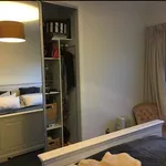 Rent 4 bedroom house in Auckland