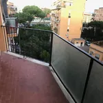 Affitto 1 camera appartamento di 25 m² in Roma