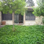 Rent 10 bedroom house of 350 m² in Firenze