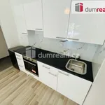 Rent 1 bedroom apartment in Praha 5