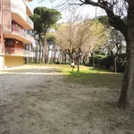 Rent 3 bedroom apartment of 60 m² in Cesenatico