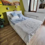 Rent 4 bedroom apartment of 75 m² in Chemnitz