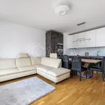 Rent 3 bedroom apartment of 64 m² in Capital City of Prague