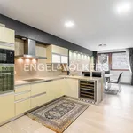 Rent 3 bedroom apartment of 100 m² in Prague