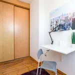 Rent a room in poznan