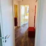 Rent 1 bedroom apartment of 60 m² in Dresden