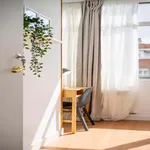 Rent a room of 391 m² in Madrid