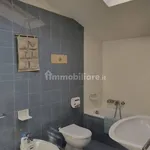 Affitto 1 camera appartamento di 50 m² in Bologna