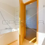 Rent 3 bedroom apartment of 130 m² in City of Zagreb