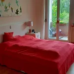 2 room apartment in Schaffhausen, furnished, temporary