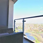 Rent 1 bedroom flat in Salford