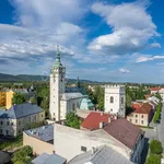 Rent 1 bedroom apartment of 35 m² in Lipník nad Bečvou