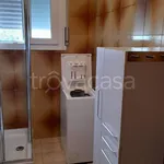 Rent 3 bedroom apartment of 80 m² in Bologna