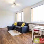 Pronajměte si 2 ložnic/e byt o rozloze 48 m² v Prague