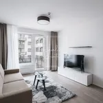 Rent 2 bedroom apartment of 55 m² in Prague