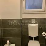 Rent 1 bedroom apartment of 25 m² in Torino