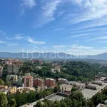 Rent 3 bedroom apartment of 70 m² in Frosinone