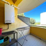 Rent 3 bedroom apartment of 76 m² in Roma