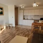 Rent 2 bedroom apartment of 54 m² in Katowice