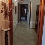 Rent 4 bedroom apartment of 110 m² in Brindisi