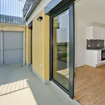 Rent 2 bedroom apartment of 38 m² in Vienna