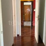 Rent 3 bedroom apartment of 126 m² in Caserta