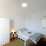 Rent 5 bedroom apartment in Lisbon