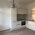 Rent 1 bedroom apartment in Antwerp 1