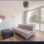 Rent 5 bedroom apartment in Ixelles - Elsene