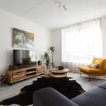 Rent 3 bedroom apartment of 85 m² in The Hague