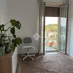 Rent 4 bedroom apartment of 95 m² in Perugia