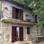 Single family villa via Circonvallazione, Centro, Capalbio