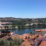 Alugar 4 quarto apartamento em coimbra