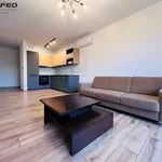 Rent 3 bedroom apartment of 60 m² in Bielsko-Biała