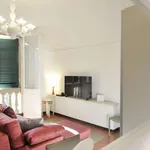 Rent 1 bedroom apartment in bologna