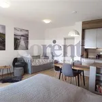 Rent 1 bedroom apartment of 39 m² in Frymburk