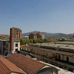 Rent 2 bedroom apartment of 70 m² in Turin