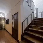 Rent 1 bedroom apartment in Bologna