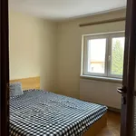 Rent 2 bedroom apartment of 50 m² in Brașov