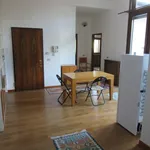 Rent 1 bedroom apartment of 50 m² in treviso