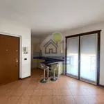 Rent 2 bedroom apartment of 60 m² in Cremona