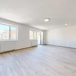 Rent 2 bedroom apartment of 84 m² in Plzeň