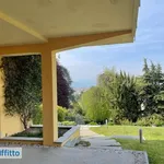 Rent 2 bedroom apartment of 50 m² in Turin