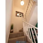 Rent 3 bedroom house in Brighton