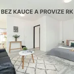 Rent 1 bedroom apartment of 33 m² in Ústí nad Labem