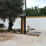 Alugar 1 quarto casa de 50 m² em Alvaiázere