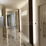 Rent 2 bedroom apartment of 58 m² in Torino