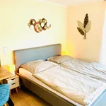 Miete 1 Schlafzimmer wohnung von 30 m² in Karlsruhe