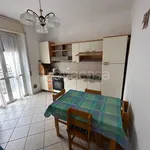 Rent 3 bedroom apartment of 70 m² in Pavia